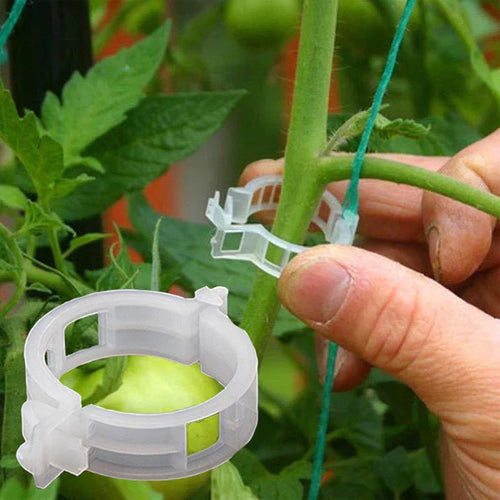 Clipsuri plante