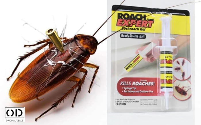 RoachX™ – Gel pentru Combaterea Gândacilor