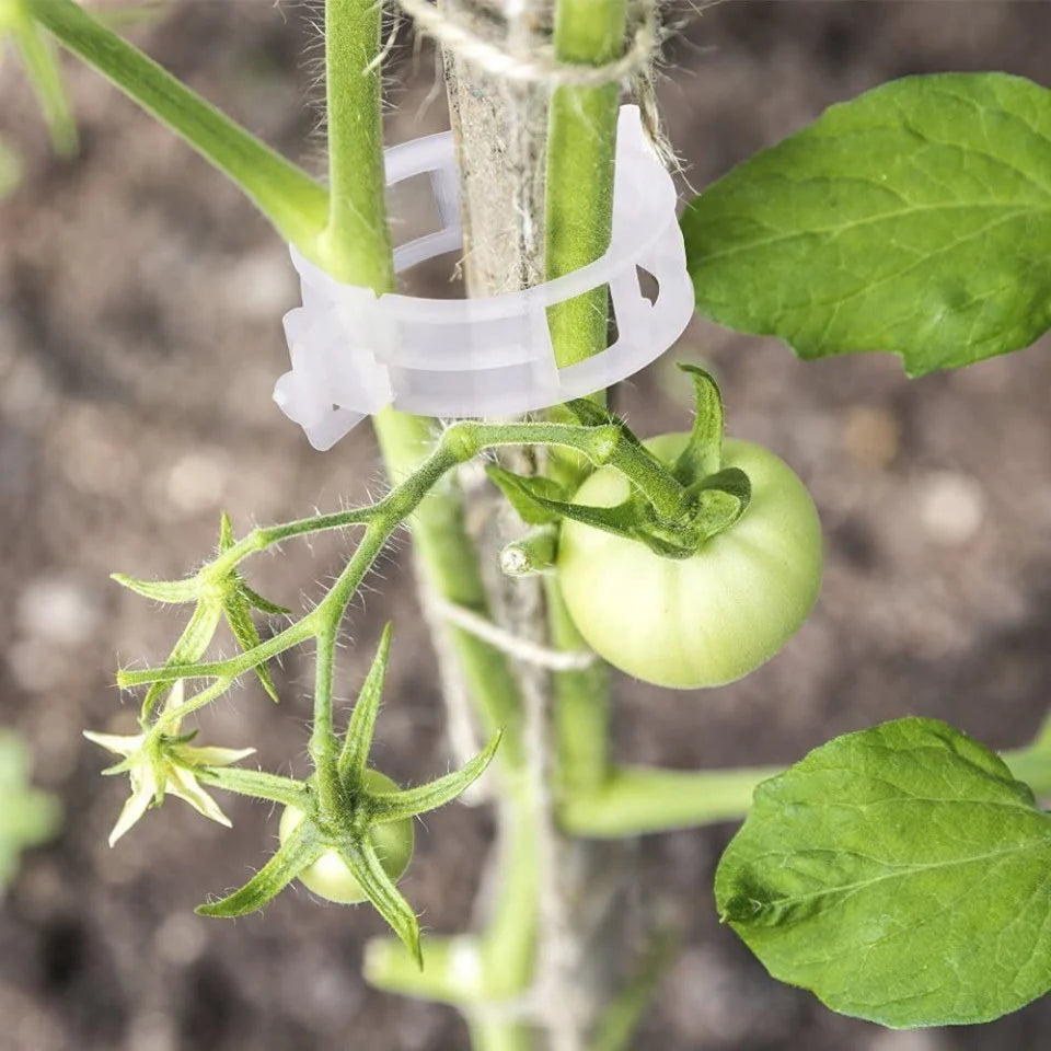 Clipsuri plante