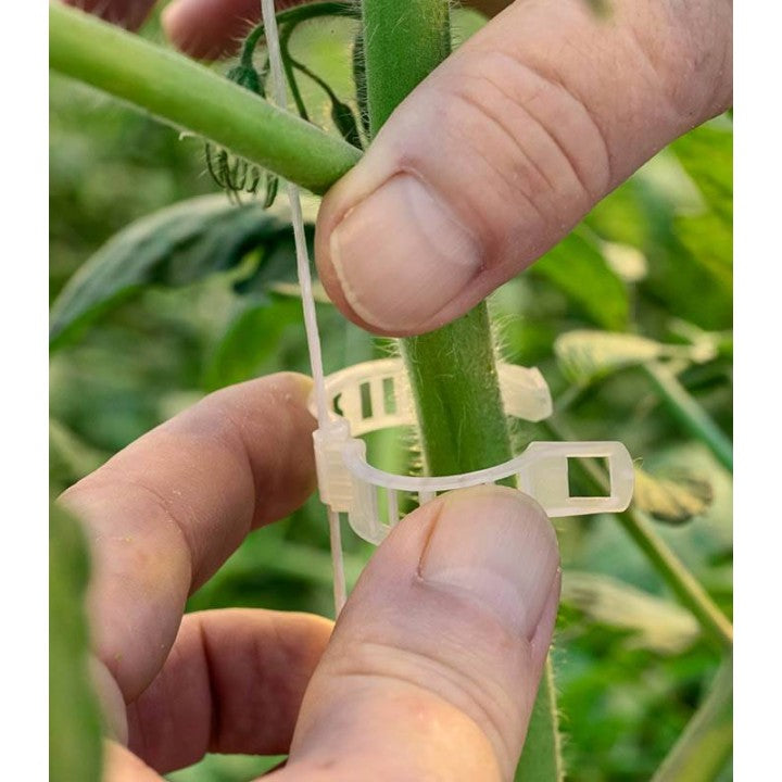 Clipsuri plante